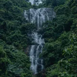 Kappimala Waterfall Kannur 